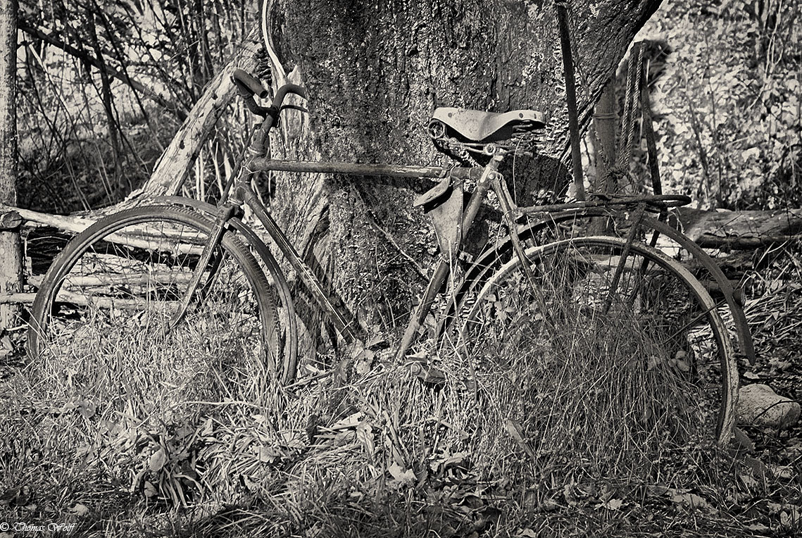 The aesthetics of decay...