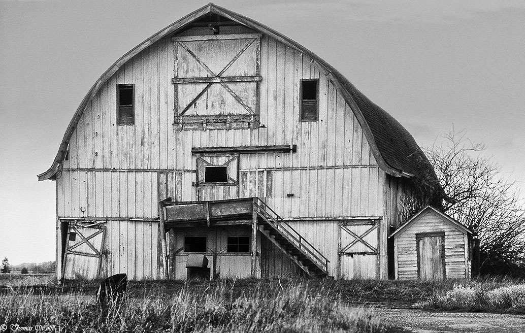 The aesthetics of decay...