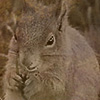 Simply cuuuuute...